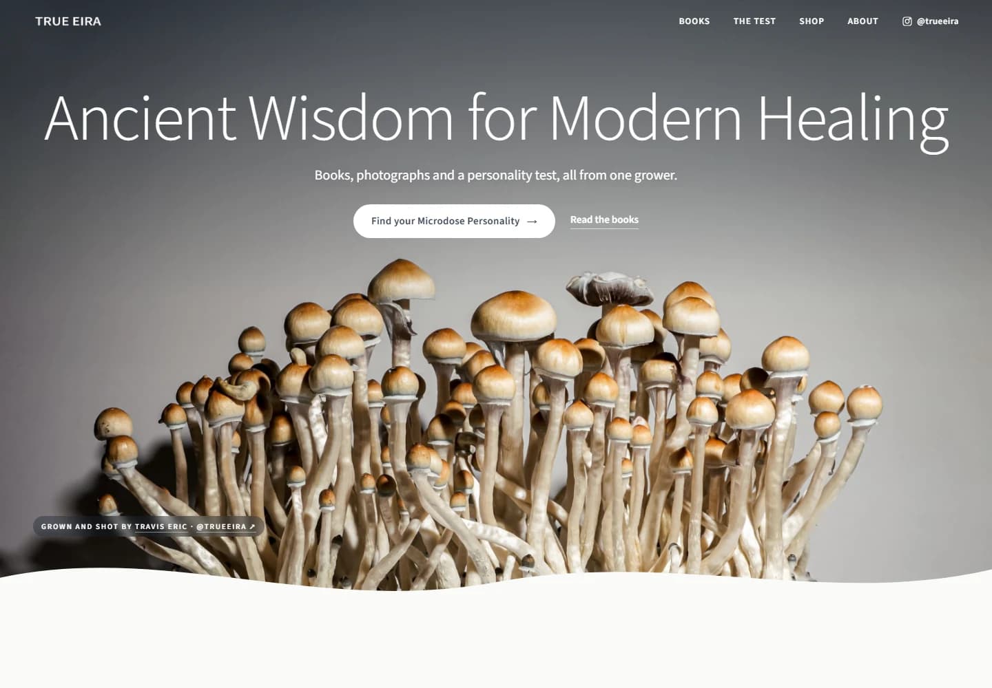 True Eira’s books, mushroom photography, art, and shop